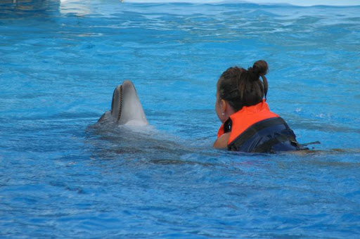 plywanie z delfinem Turcja (4).jpg